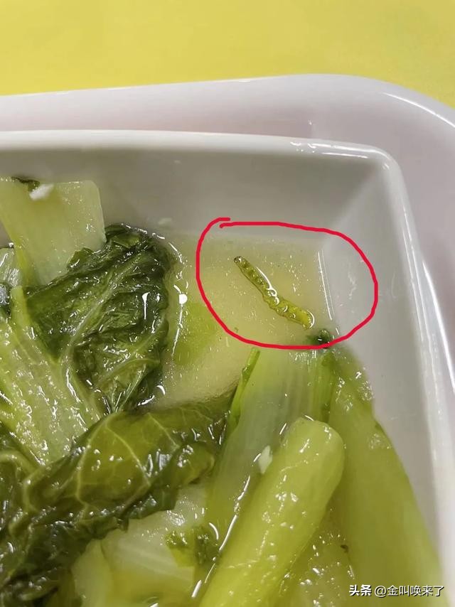 形象碎了一地!“啤酒大王”成都公司的食堂火了