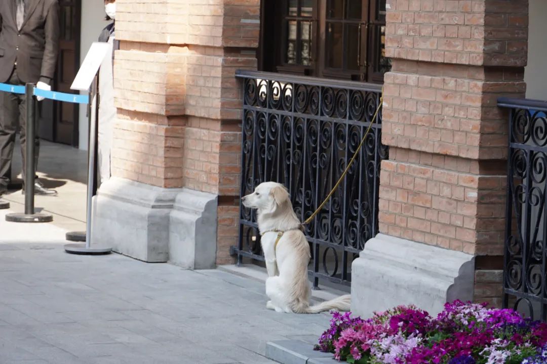 蓝瓶咖啡速溶,蓝瓶咖啡视频大全