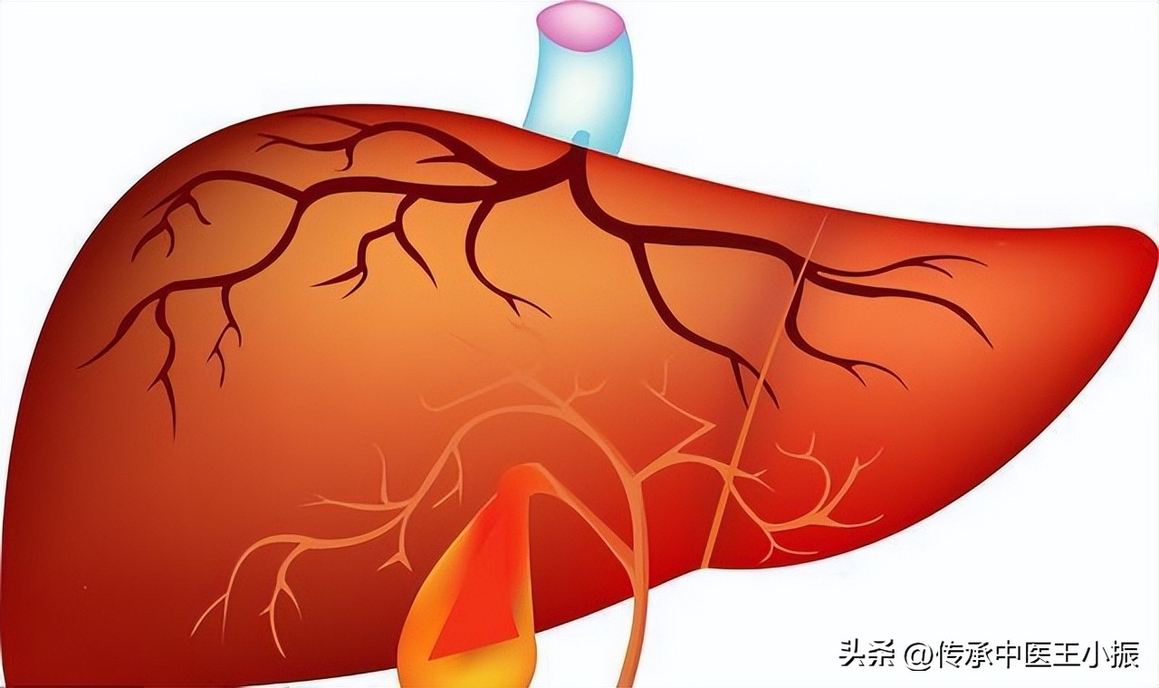 逍遥丸便宜又好用，还能治这5种病，医生一次给你讲明白！