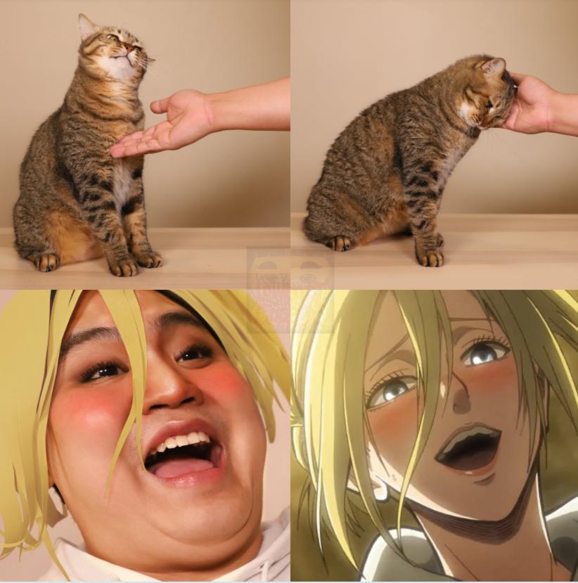 哈哈哈这些猫咪cospaly好怪，再看一眼，还是好怪