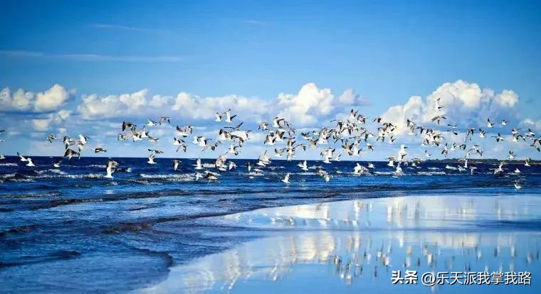 高效课堂的激励机制,高效课堂实施工作总结