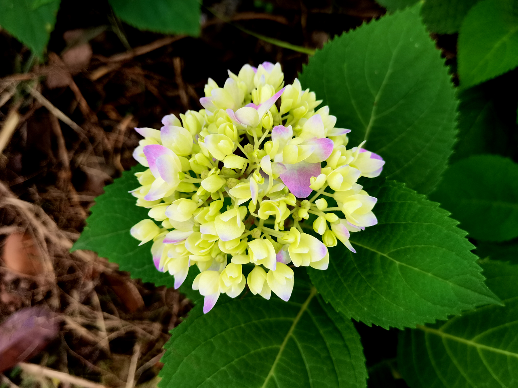 是仪：心中有民（八）