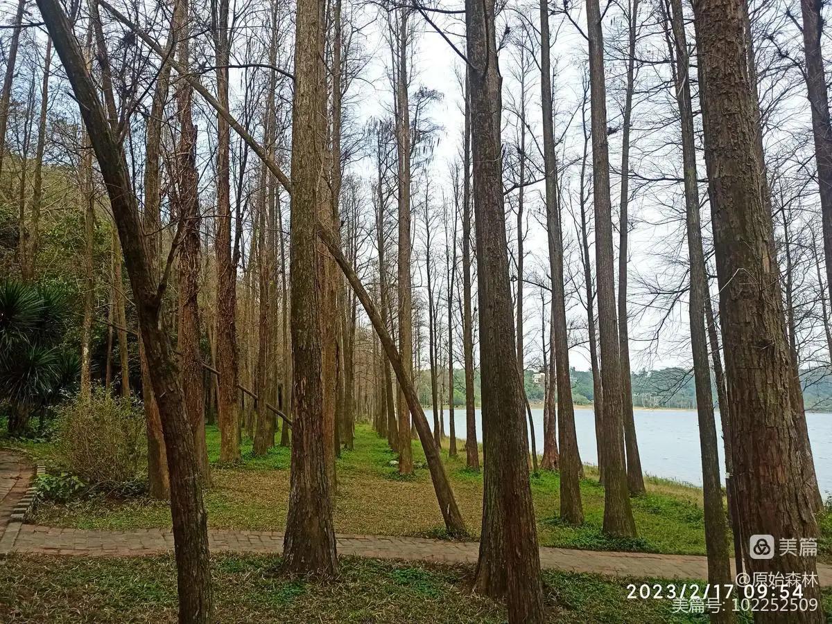 湖光山色美若仙境,湖光山色人文胜景
