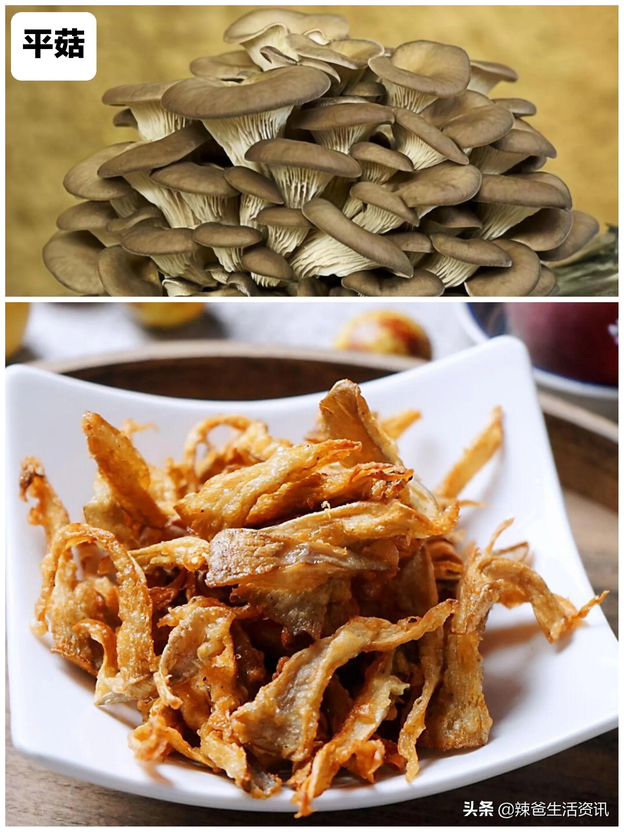 100种食用蘑菇大全,蘑菇的12种最佳吃法