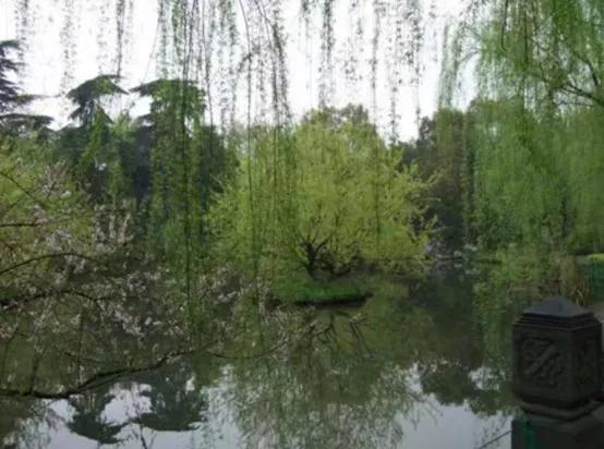 杭州好玩的地方和景点排行榜,杭州周边好玩的地方景点免费