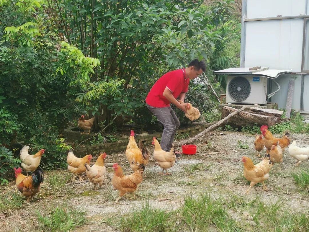 深山老林创业,从大山走出的创业之路