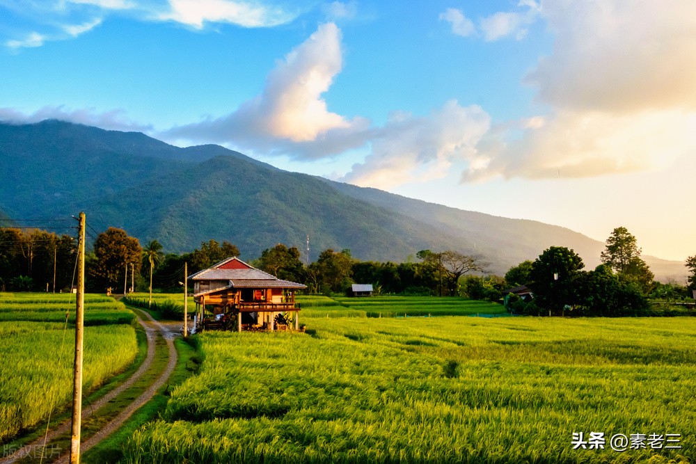女作家去做保姆446,女作家去做保姆825