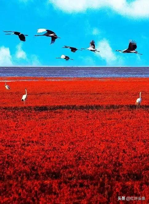 《卦里藏诗》之三.姜保坤