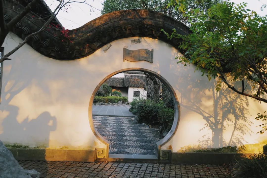 春天的潺潺溪水,春天的顶流