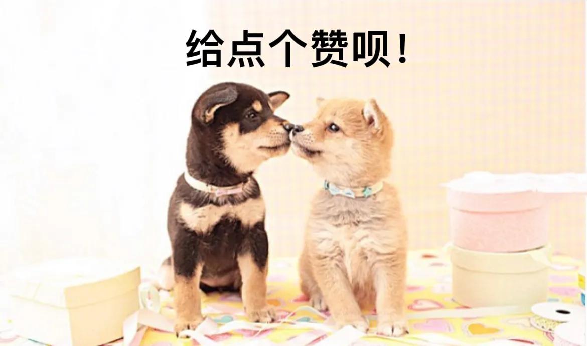 幽默笑话昨晚我梦见你了,关于已婚的幽默笑话