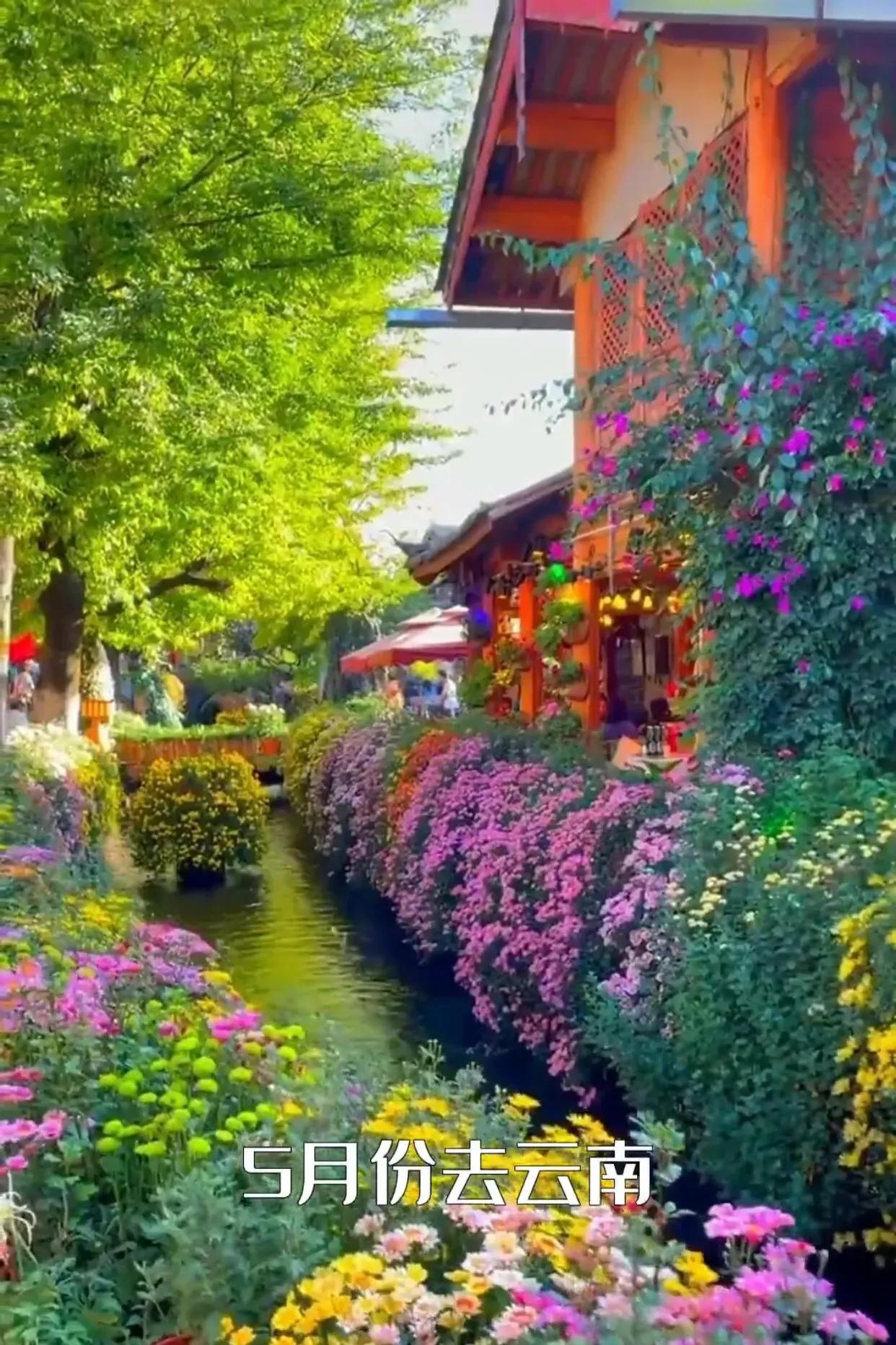 每个月适合去哪里旅游你知道吗,你知道每个月去哪里旅游吗