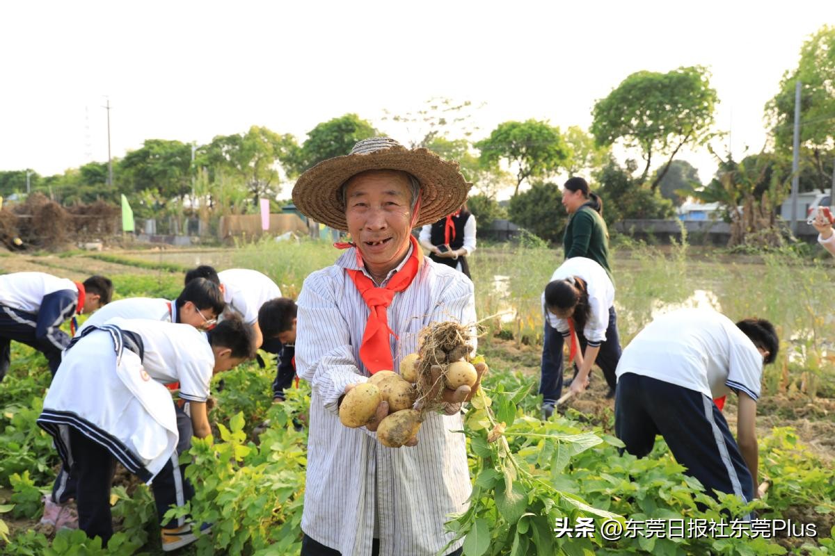 广东“最美家庭”陈志坚家庭：同心同德育苗，让稻菽掀起千重浪