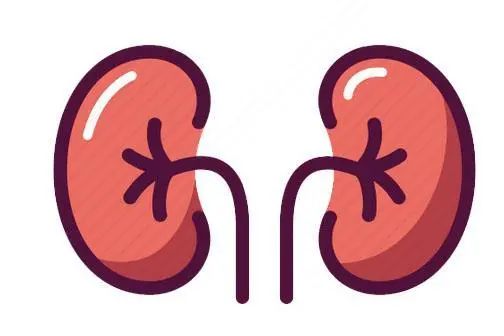 反复喝水真的可以缓解感冒症状吗,多喝水为什么有利于治疗感冒