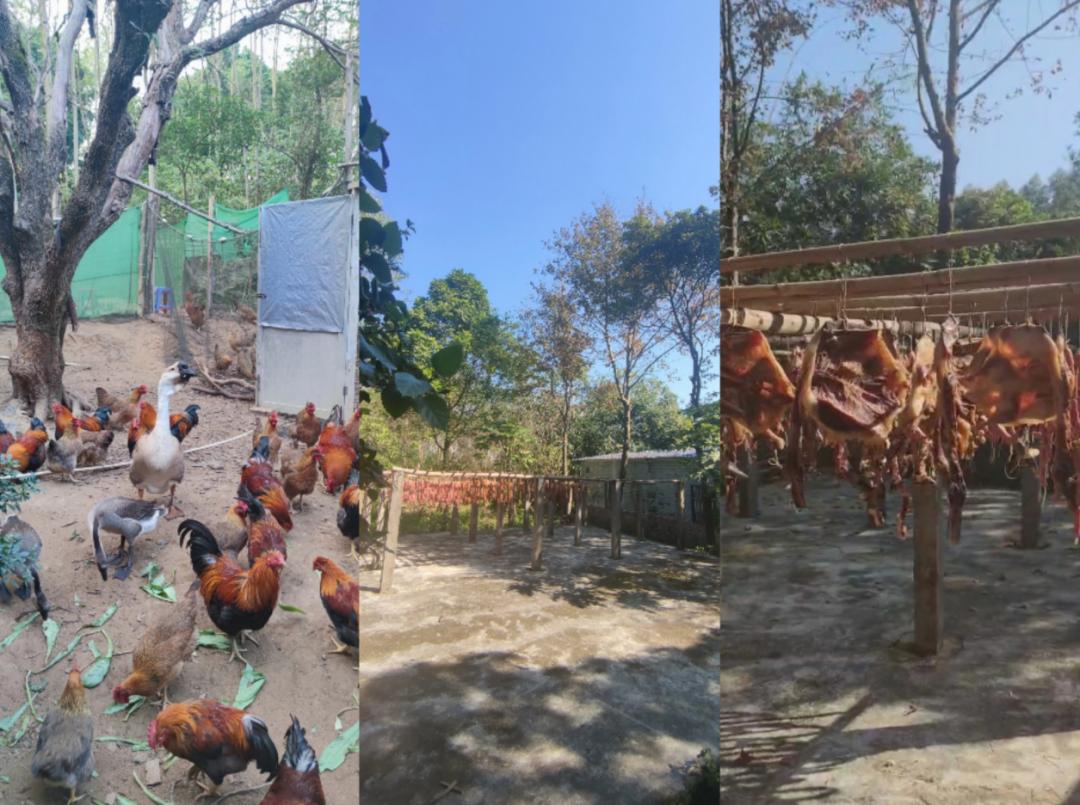 超美味肇庆吃出致富新路径,舌尖上的肇庆特色美食