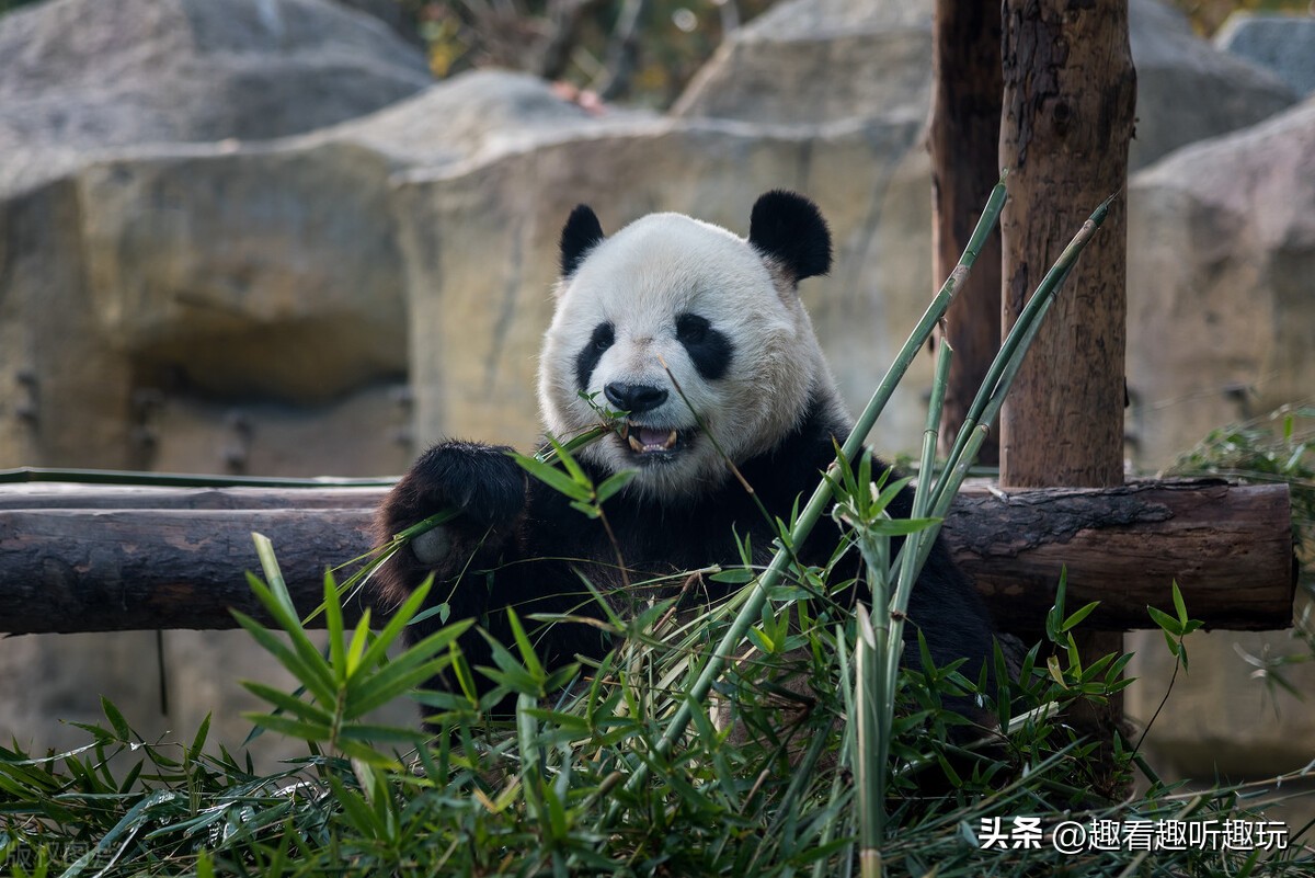 上海127家a级景区名单,上海增6家A级旅游景区
