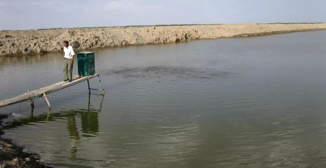 鱼吃食吞不下怎么办,鱼吃食胀胃怎么办