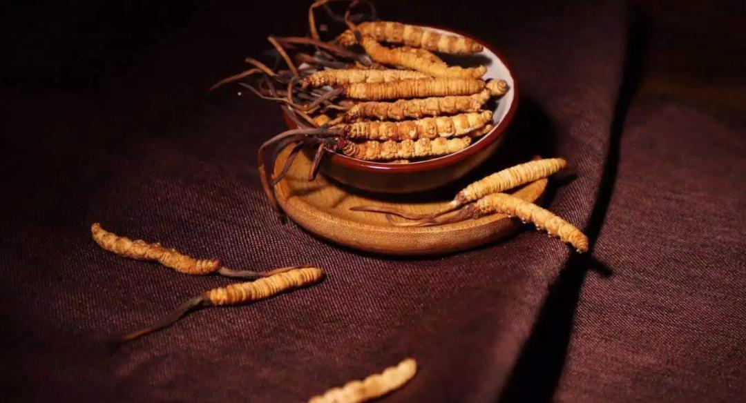 长在白蚁窝里的菌类,白蚁窝长什么蘑菇