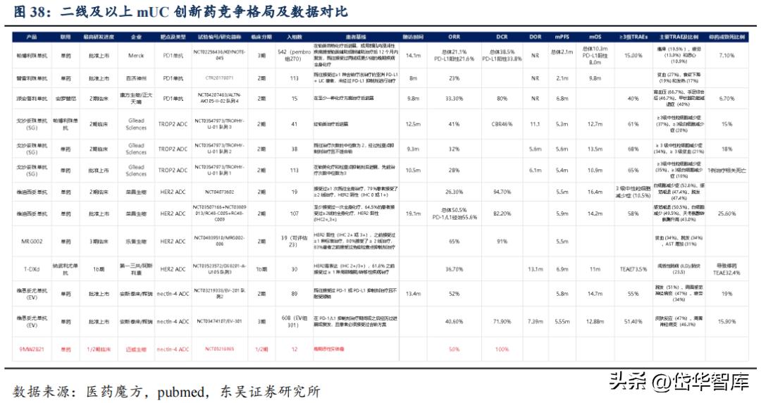 有效避开内卷，迈威生物：ADC锋芒初显，快速成长的Biopharma