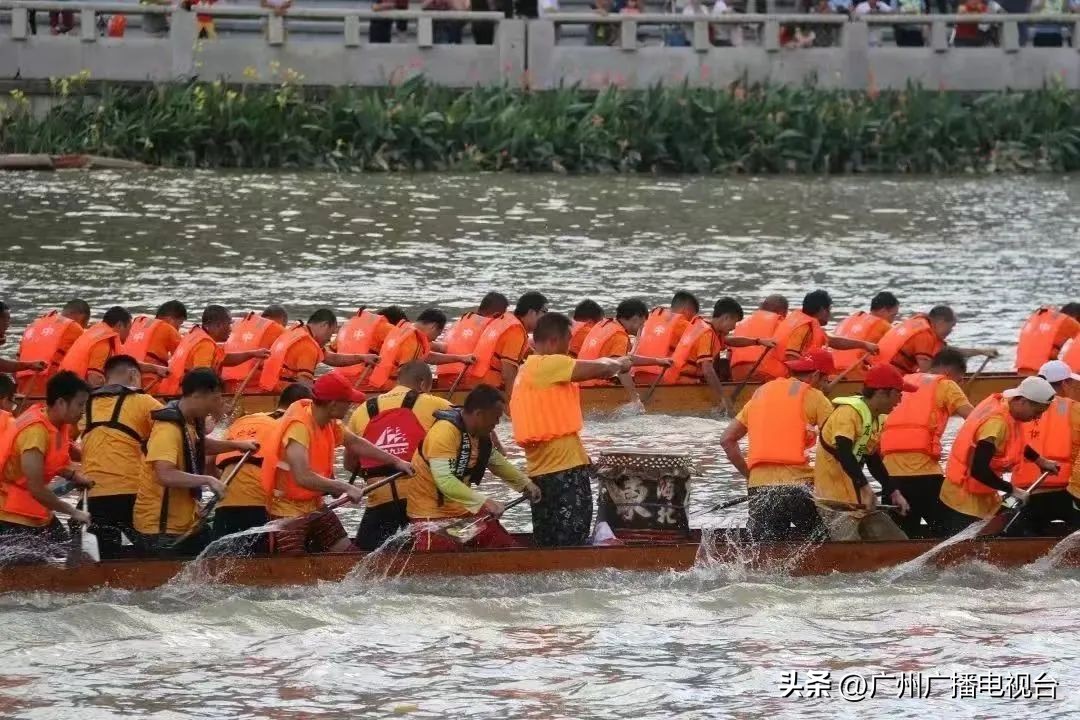 广州多区“睇龙船”超全指南,广东“睇龙船”指南来了