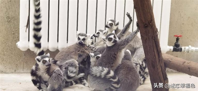 一到冬天就全身瘙痒,一到冬天全身皮肤瘙痒是什么原因