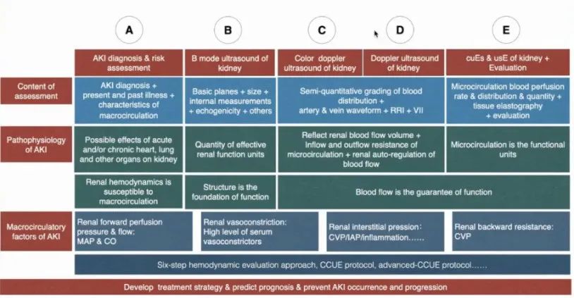 「肾脏病学」刘丽霞教授：肾脏血流动力学监测实施路径