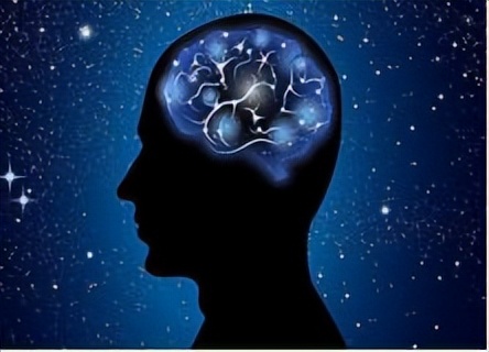 “多姿多彩”的法语世界：与颜色有关的习语表达