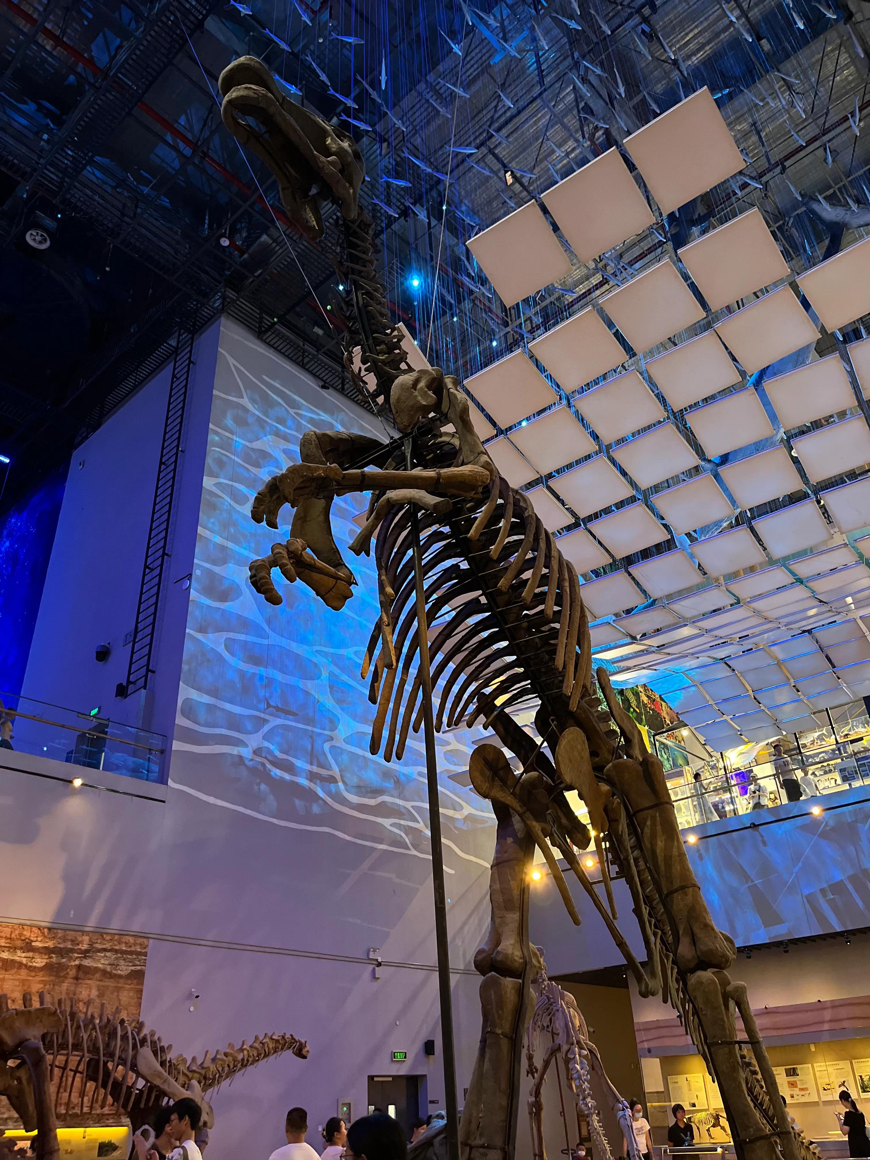 广州旅游必游景点攻略,游玩景点推荐广州旅游攻略