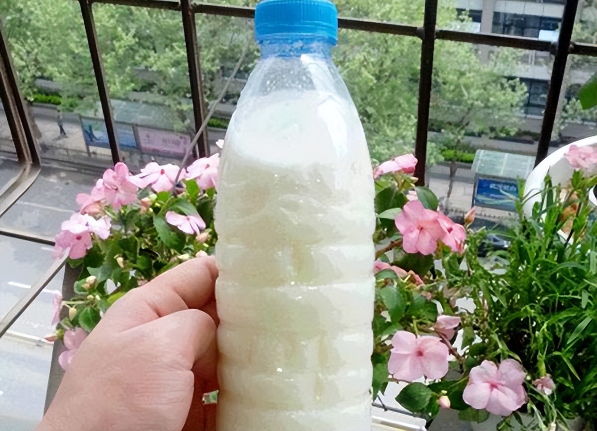 塑料养花小桶,塑料桶养花种菜