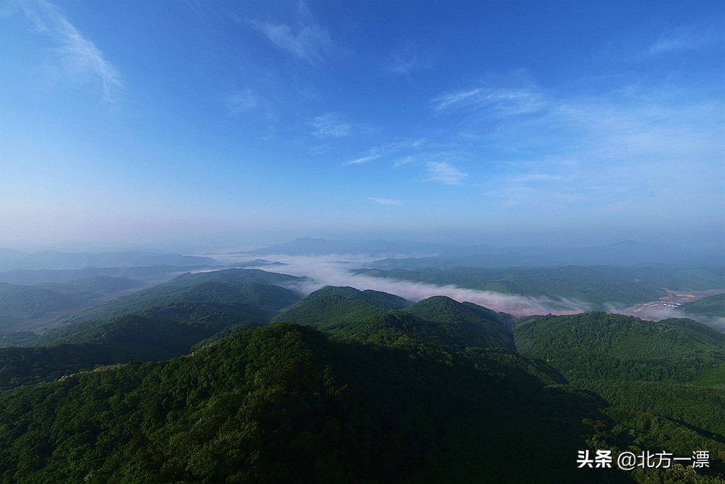 抚顺天女木兰苗规格,抚顺的天女山