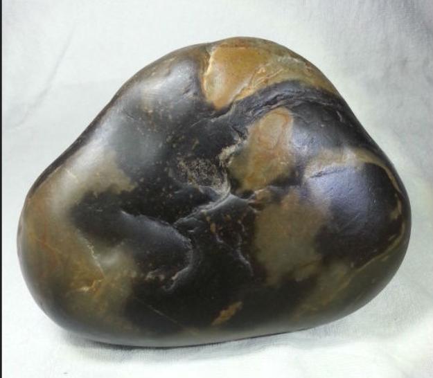 2017年男子捡一“熊猫奇石”,价值百万以上的熊猫奇石