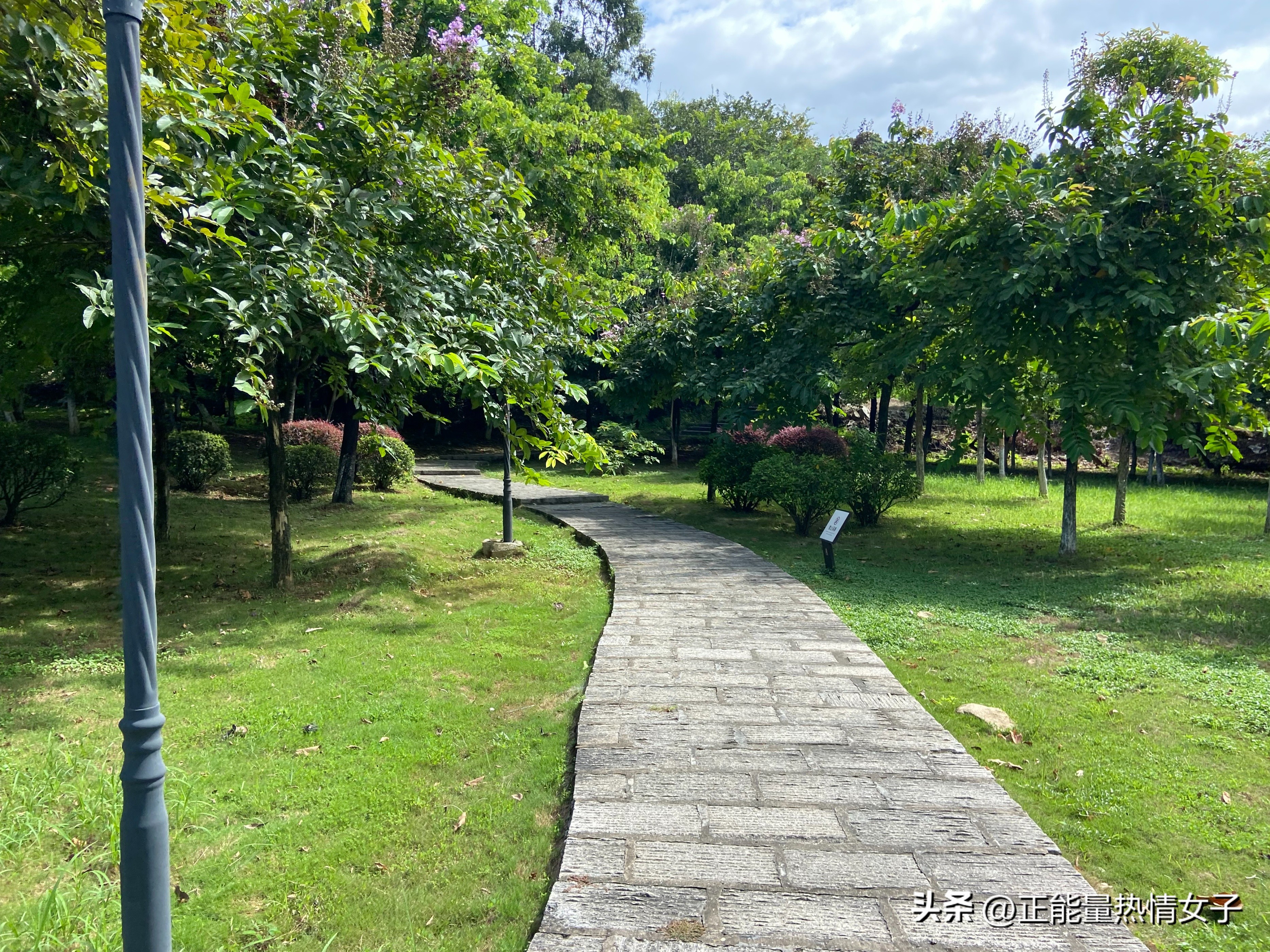 广州梅花岭森林公园,广州市白云区五峰山森林公园