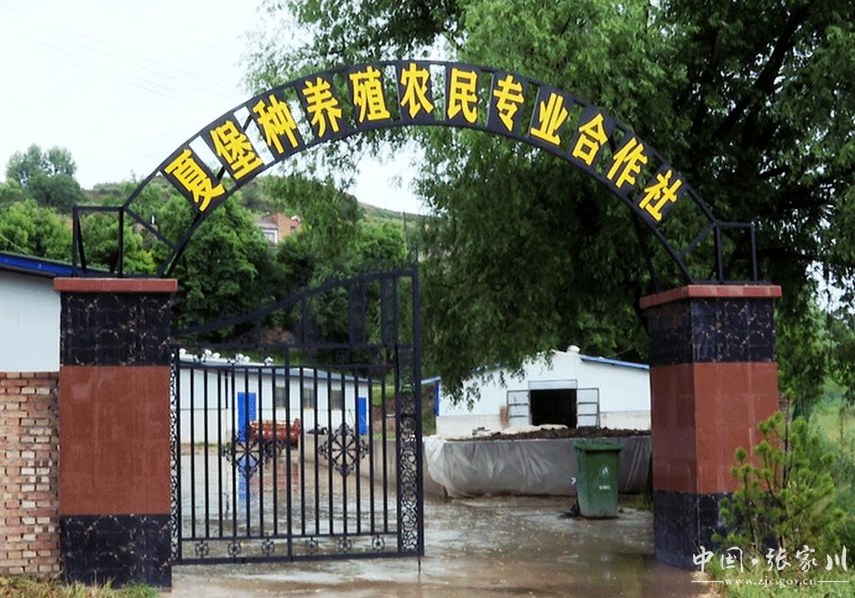 特色养殖助力乡村振兴图片,乡镇特色养殖助力乡村振兴简报