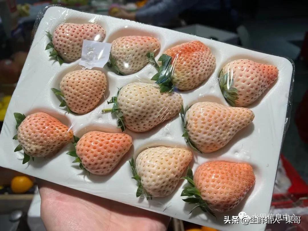 在水果中浆果是分哪几种,水果分类浆果