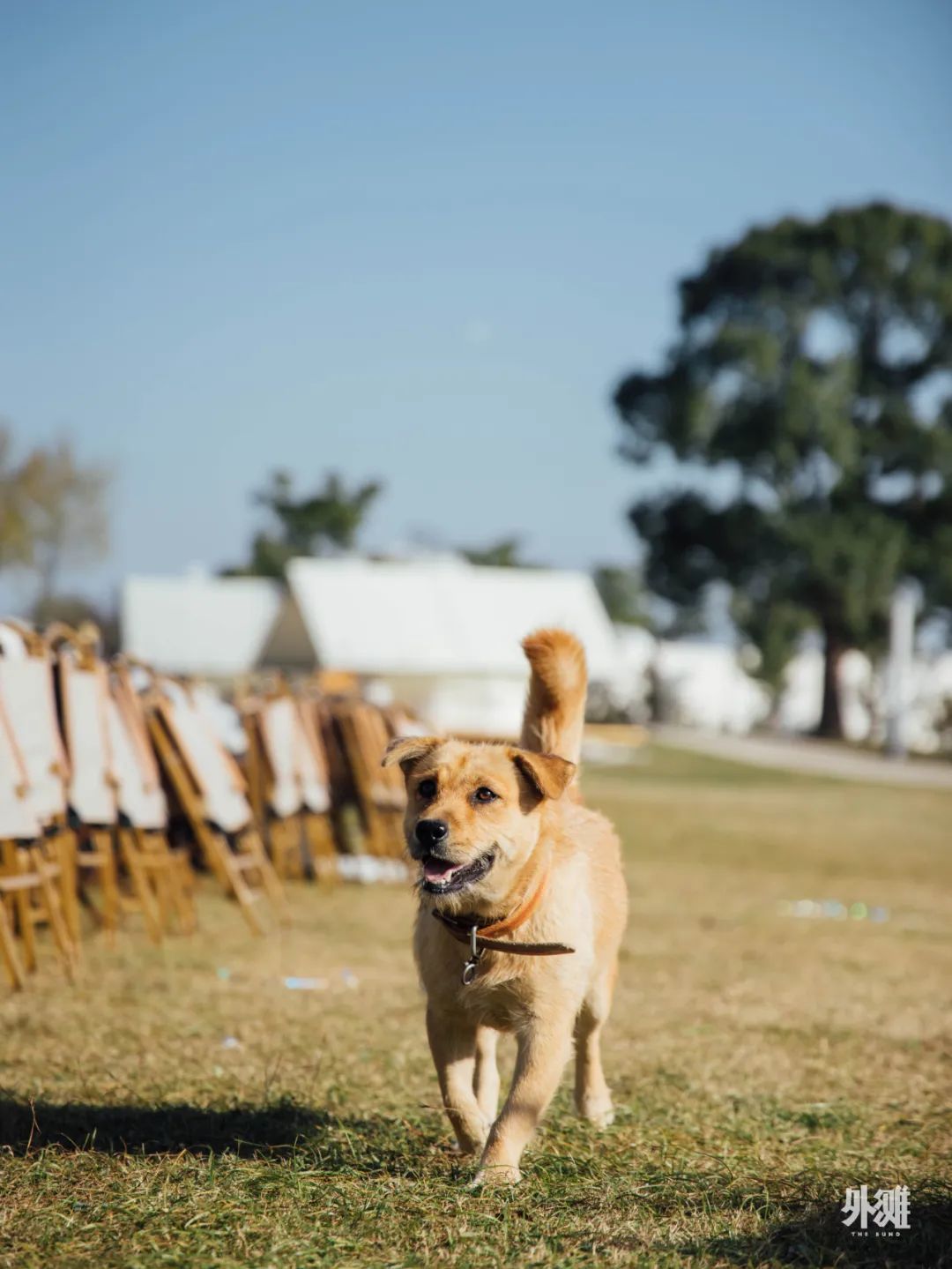 上海新晋打卡,上海复古仓打卡地