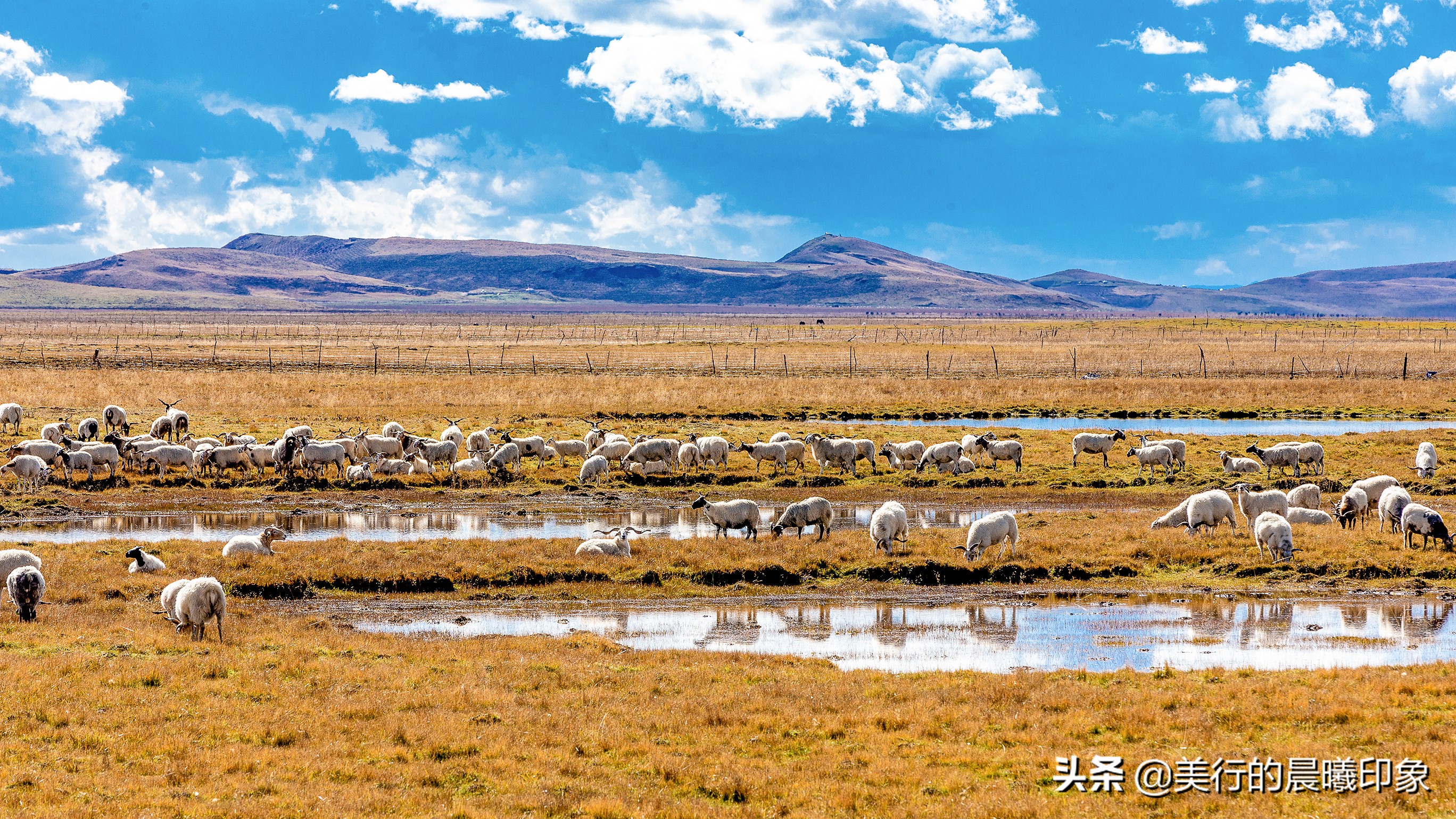 西部自驾三十三天(三十四)——川西高原的绿洲,若尔盖草原