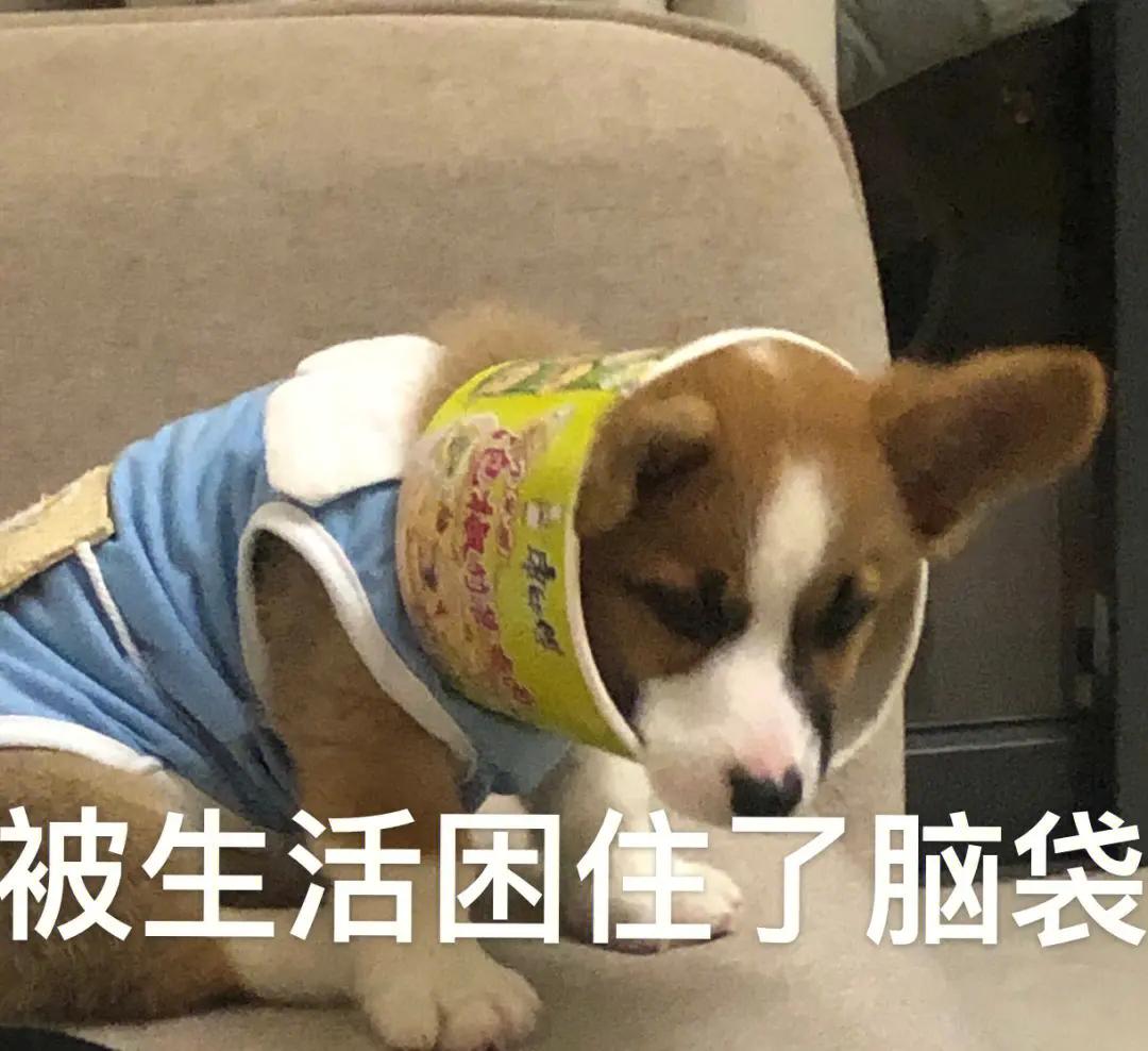 买买买又舍不得扔的终极解决方案,断绝买买买时购物欲望