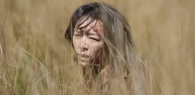 张静初漫长的季节演技表情,漫长的季节张静初和李庚希