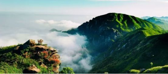 来安福武功山图片,来武功山体验春日的美好