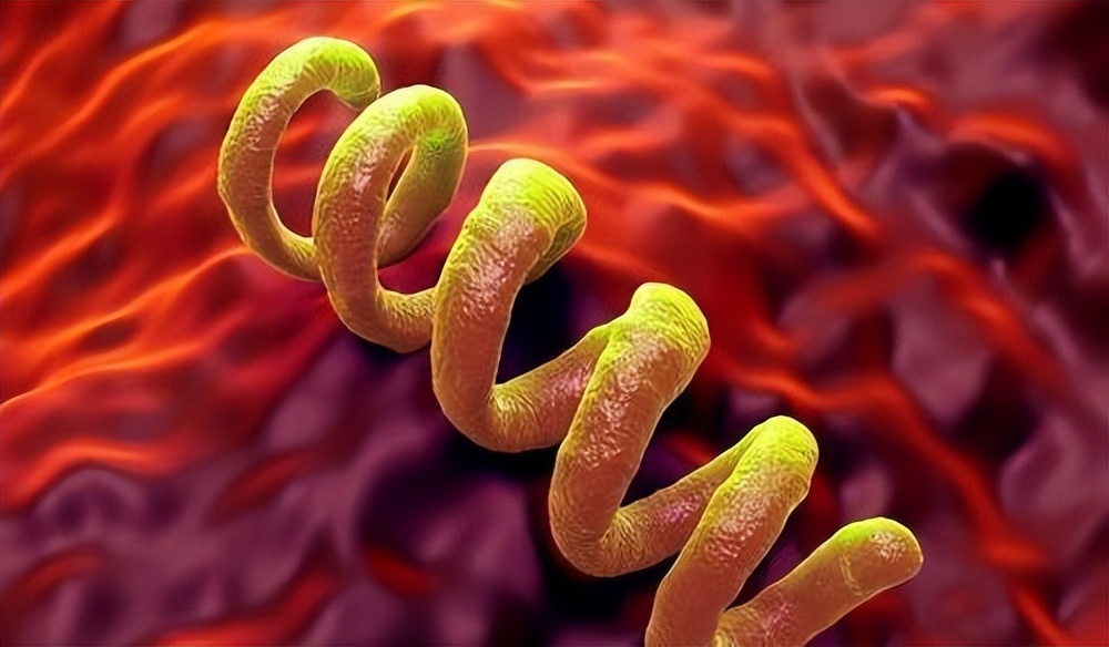 通过性传播的病都有哪些,通过性传播的疾病都有哪些最严重