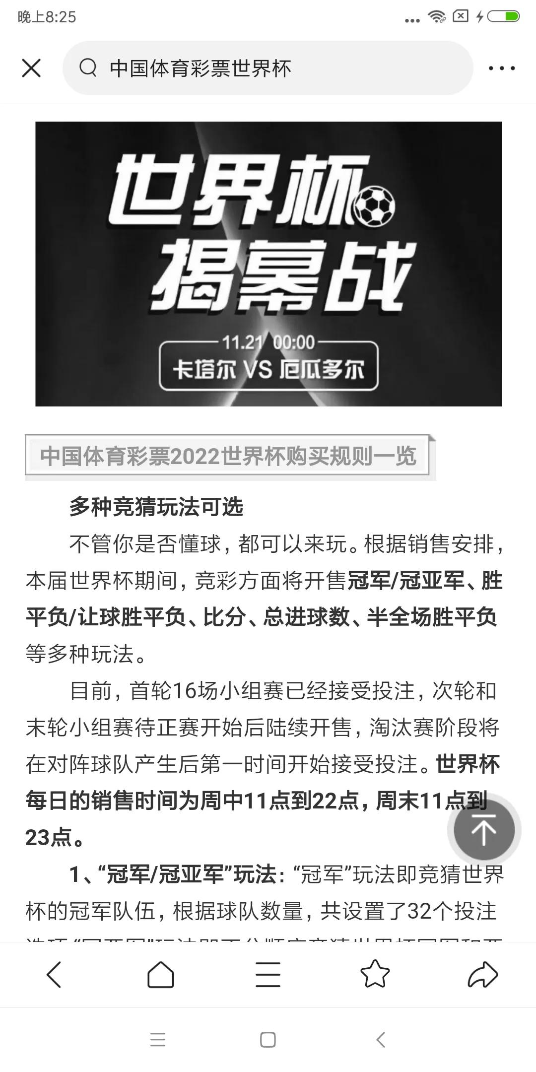 卡塔尔世界杯体彩票,卡塔尔世界杯的彩票在哪里买