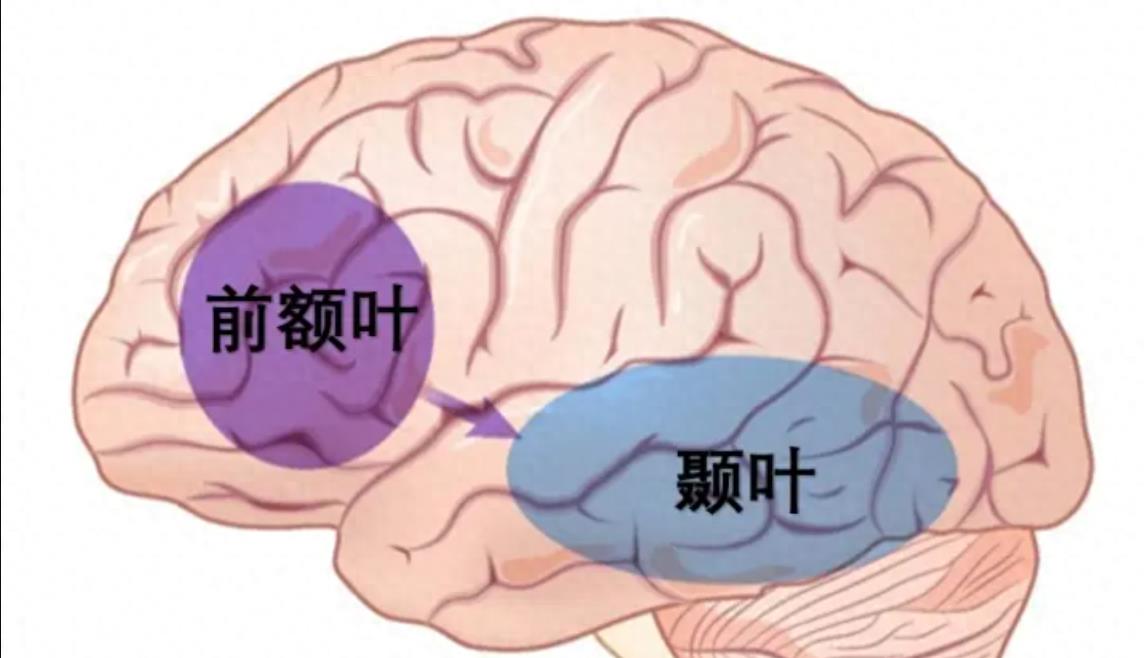 科学家能否证明鬼的存在,鬼真的存在吗科学家证实有