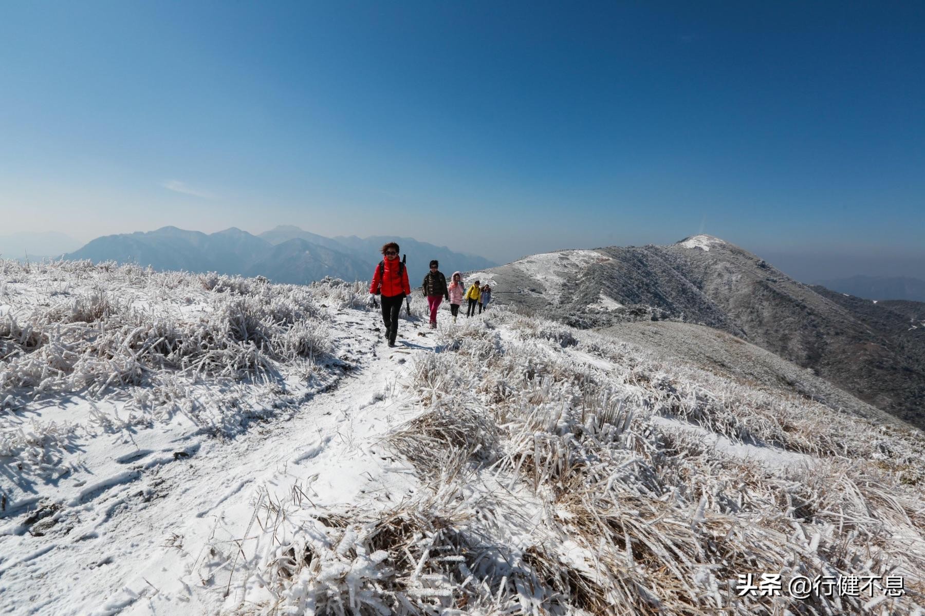 桃李春风一杯酒全诗释文,绝美诗句桃李春风一杯酒寄明月