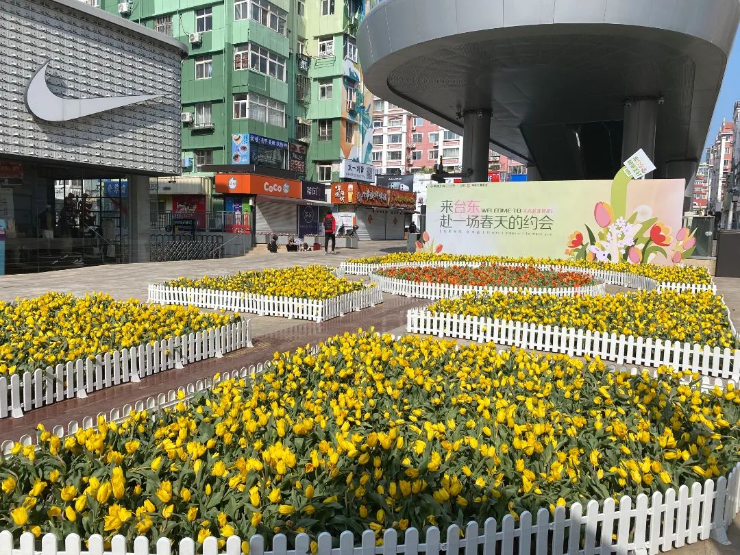 台东步行街附近的游玩景点,五一一起去春游攻略