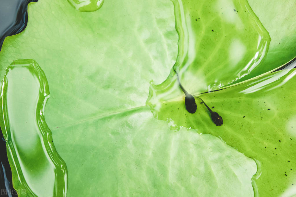 精子黄黄的是什么情况,精子黄黄的是怎么回事