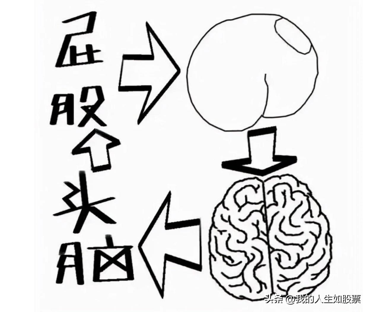 从炒股开始暴富57集,我的人生从逆袭开始19
