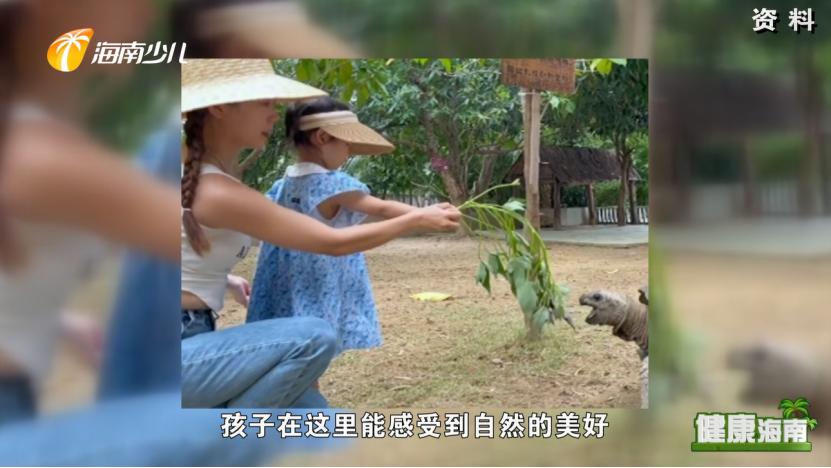 健康海南｜医疗护理师话说快乐健康去旅行！