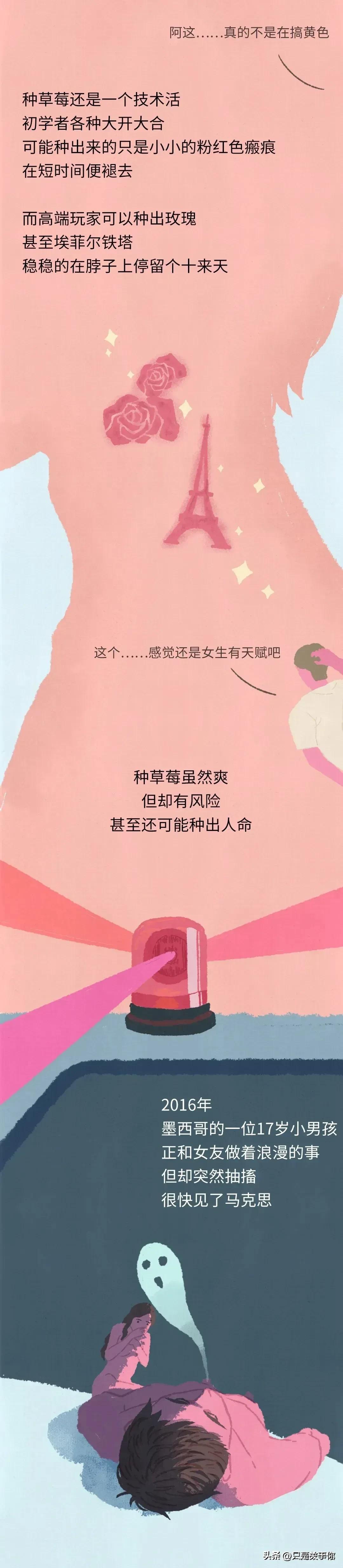 漫画里种草莓的人,漫画种草莓