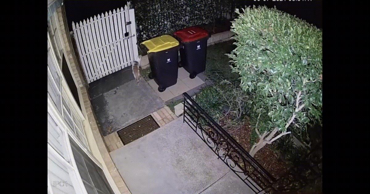 萤石家用摄像头2024推荐,萤石家用小型摄像头