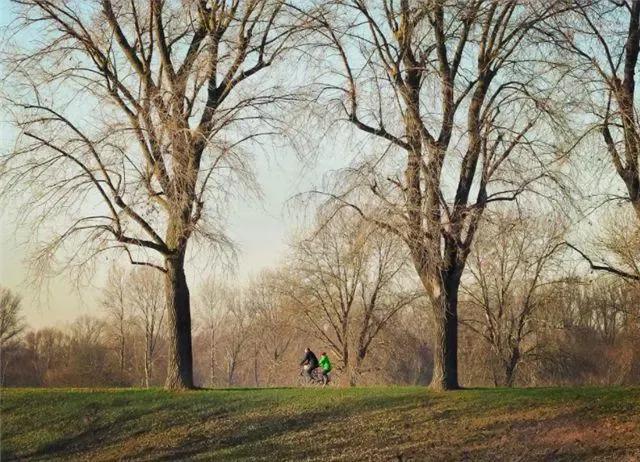 表哥的回忆,表哥的回忆录起点网