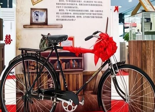 凤凰永久和捷安特哪个值得买,永久自行车对比捷安特